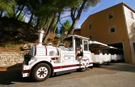 train visite vin terra vinea