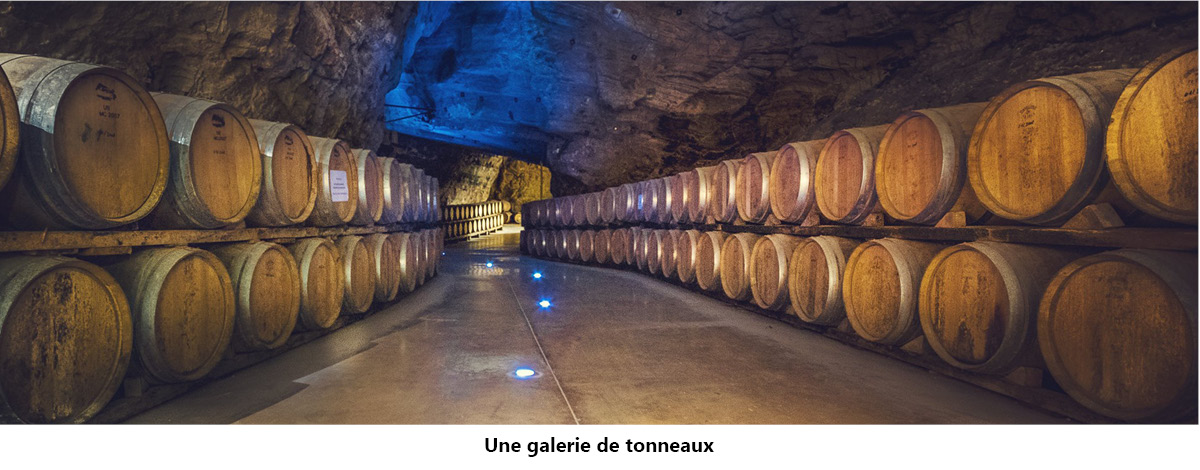 une galerie de tonneaux sous terre